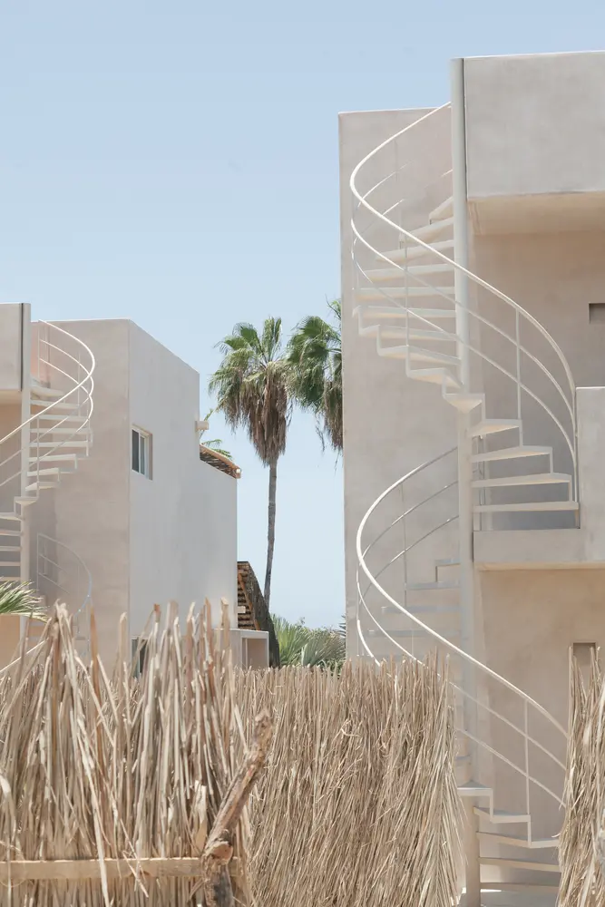 Proyecto Palmita Proyecto Palmita
