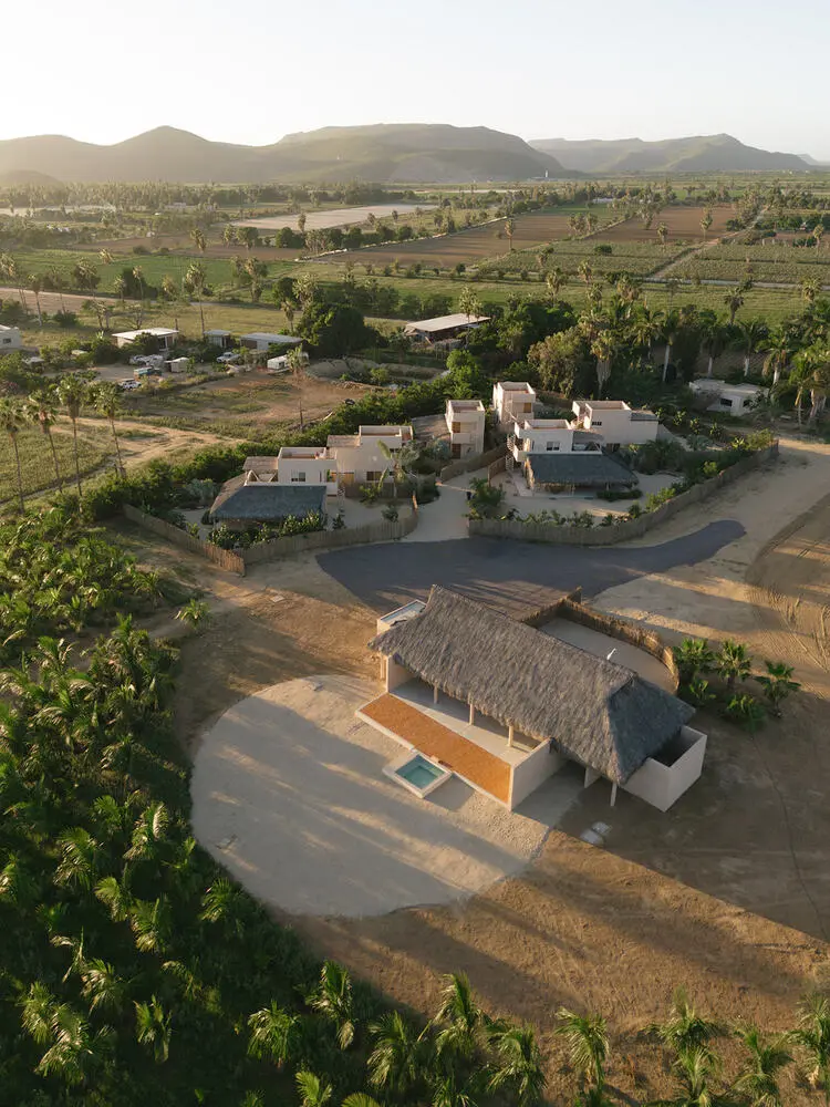 Proyecto Palmita