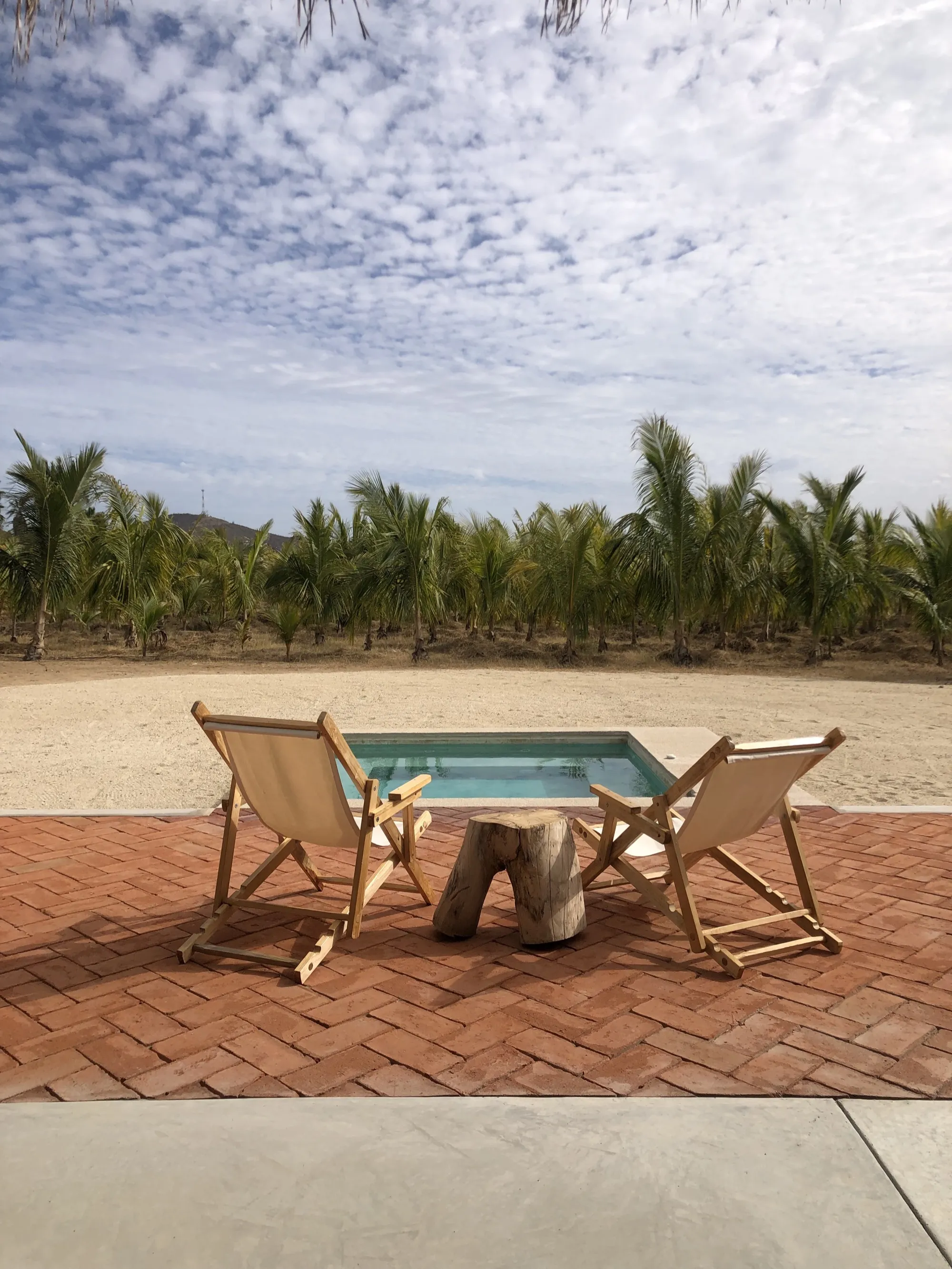 Proyecto Palmita