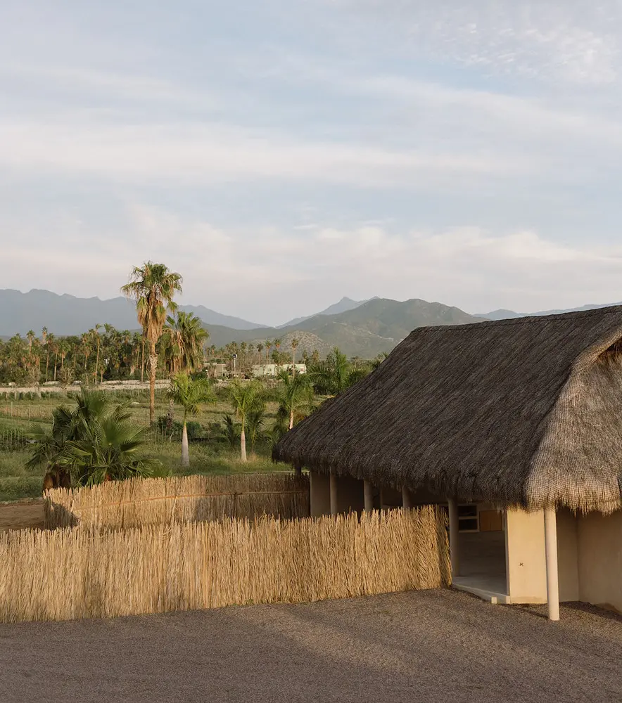 Proyecto Palmita